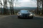 Bugatti Veyron 16.4 Linea Vincero by Mansory 2009 года